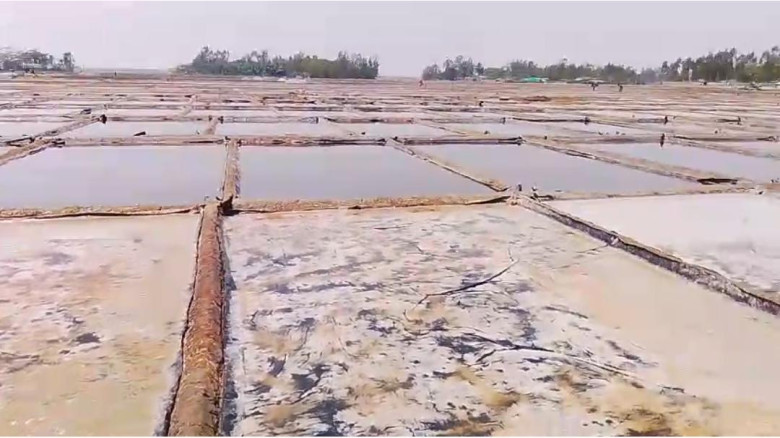 বাঁশখালীতে লবণ মাঠের গর্তে ৬ বছরের শিশুর সলিলসমাধি